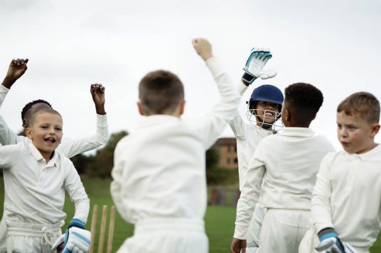 outdoor pe games lesson plans - cricket